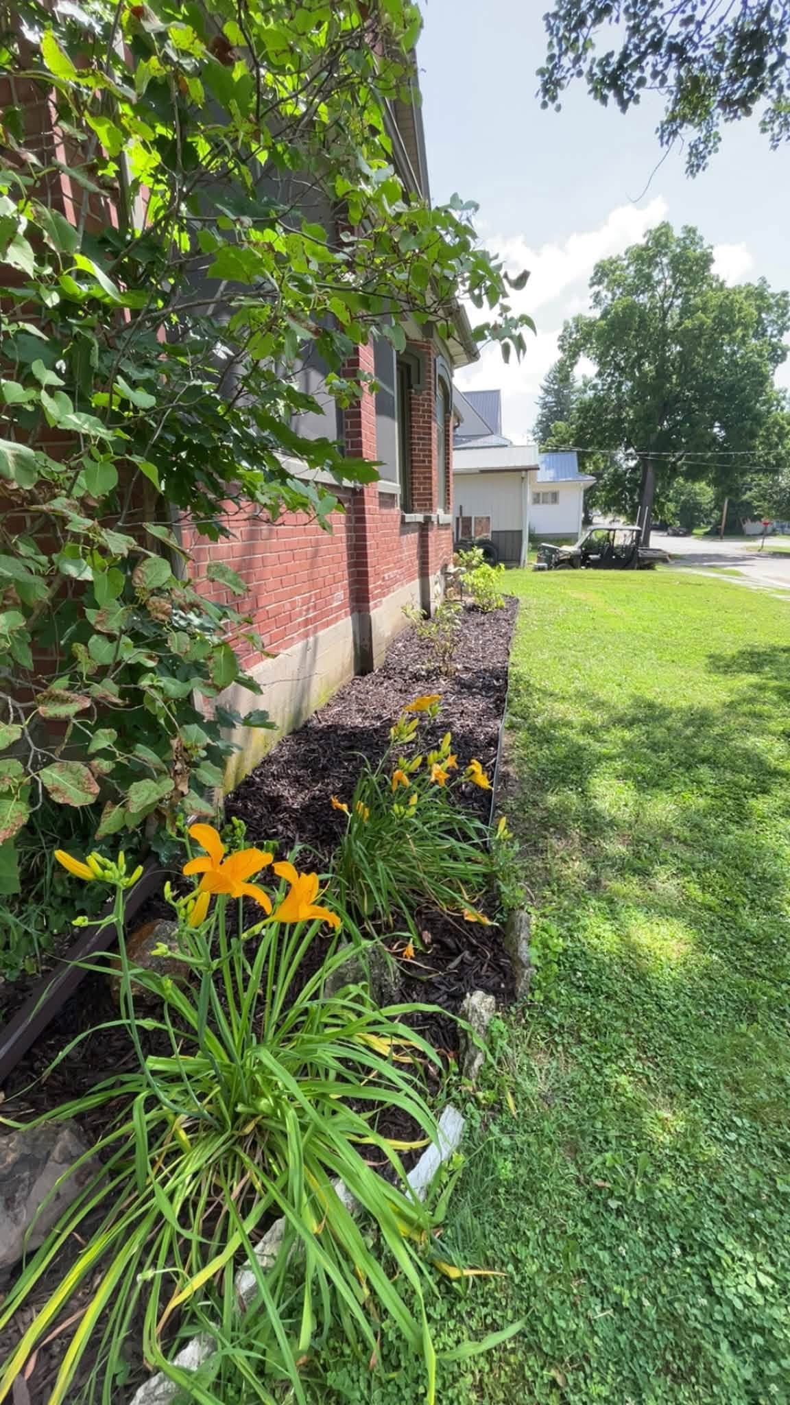 Freshly landscaped flower bed with dark mulch