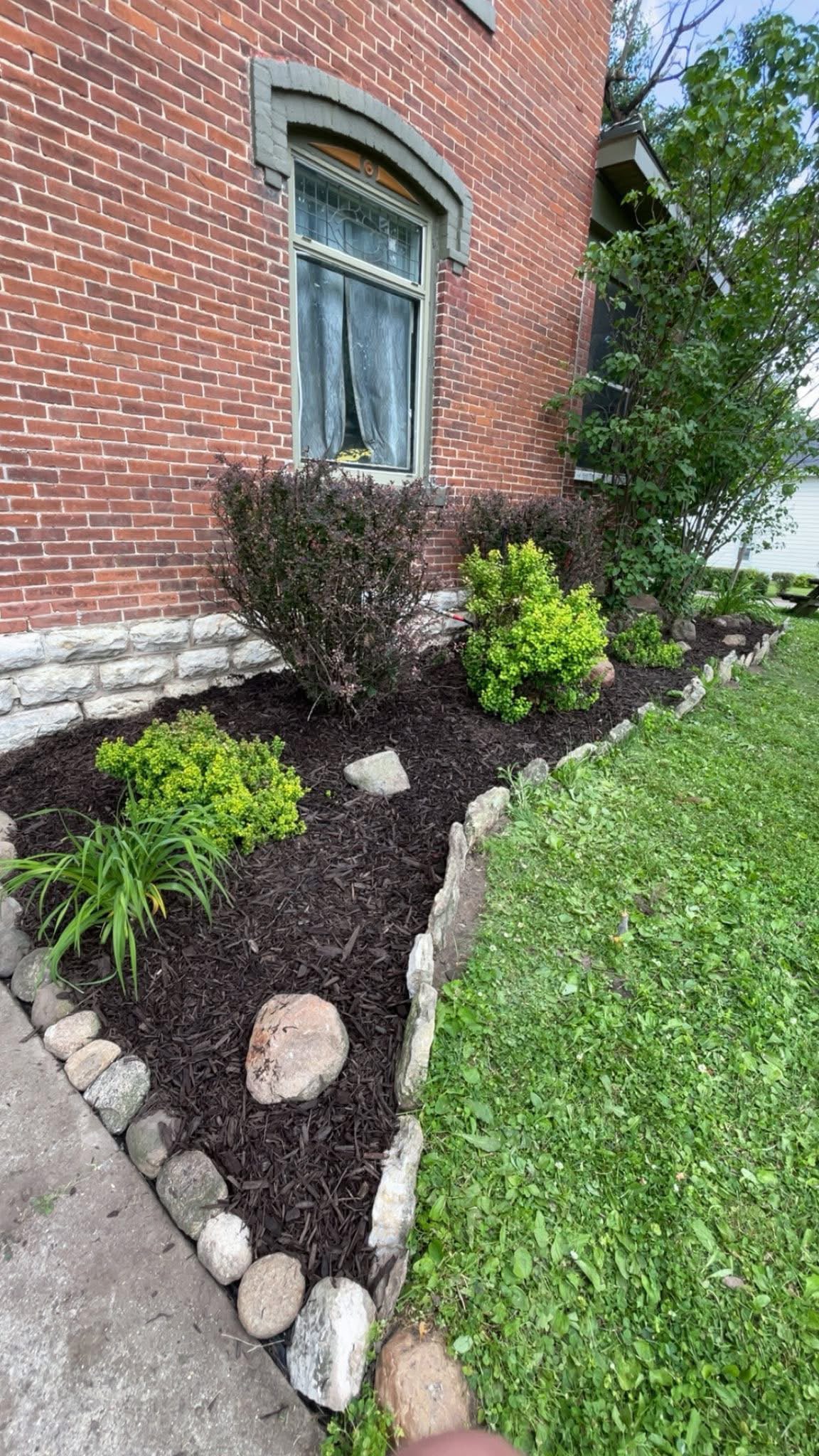 Defined edge between a green lawn and a mulched landscape bed